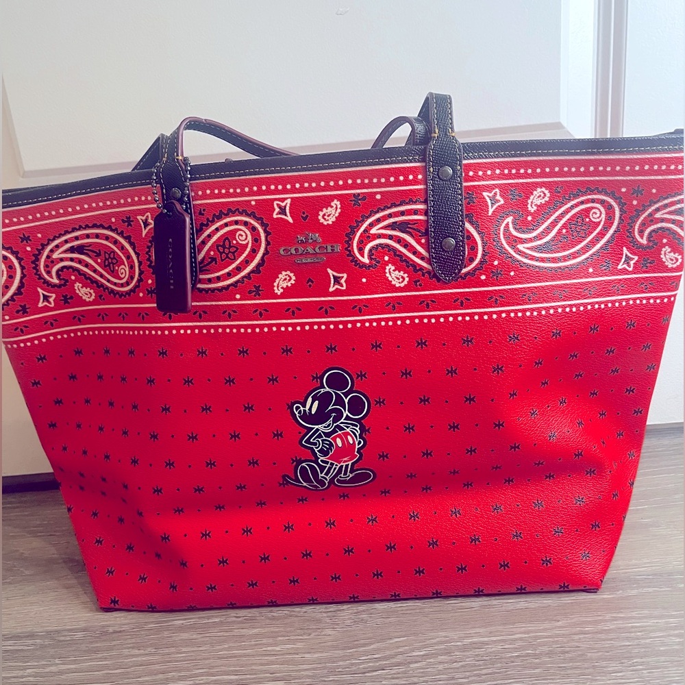 Disney Coach Bag